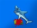 Shark Attack