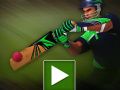 Cricket Batter Challenge