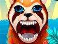 Become An Animal Dentist