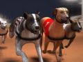 Greyhound Racing