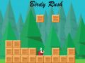 Birdy Rush