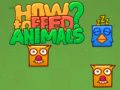 How to Feed Animals?