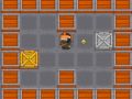 Ninja vital Treasure
