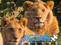 Jigsaw Deluxe