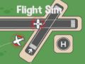 Flight Sim