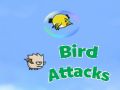 Birds Attacks