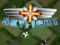 Skyfight