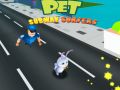 Pet Subway Surfers