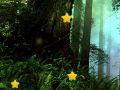 Hidden Stars