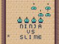 Ninja vs Slime