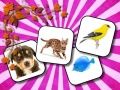 Animals Memory