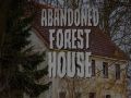 Abandoned Forest House