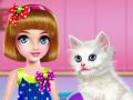 Kitty Care and Grooming