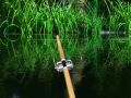 Green Lake 