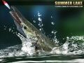 Summer Lake 1.5 Summer Lake 1.5