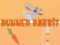 Runner Rabbit