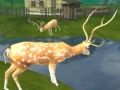 Deer Hunting Sniper Shooting Deer Hunting Sniper Shooting
