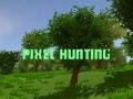 Pixel Hunting Pixel Hunting