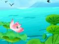 Lotus Flowers Slide