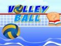 Volley ball