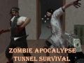 Zombie Apocalypse Tunnel Survival