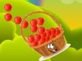 Apple Catcher