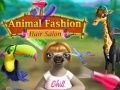 Animal Fashion Hair Salon Animal Fashion Hair Salon