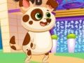 Lovely Virtual Dog