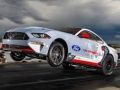 Ford Mustang Cobra Jet Slide