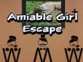 Amiable Boy Escape