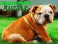 Bulldog Puppy Puzzle