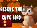 Rescue The Cute Bird