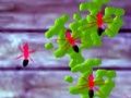 Smash Ants