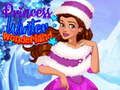 Princess Winter Wonderland