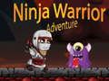 Ninja Warrior Adventure