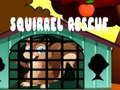 Squirrel Rescue