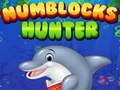 Numblocks Hunter