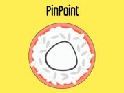 PinPoint