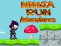 Ninja Run Adventures