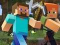 Minecraft Hidden Items