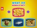 What Do Animals Eat?
