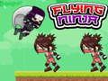 Flying Ninja