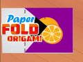 Paper Fold Origami