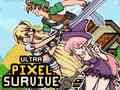 Ultra Pixel Survive