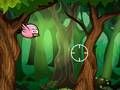 Bird Hunting