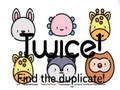 Twice! Find the duplicate