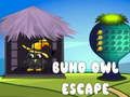 Buho Owl Escape