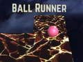Ball runner