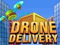 Drone Delivery