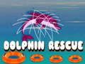 Dolphin Rescue